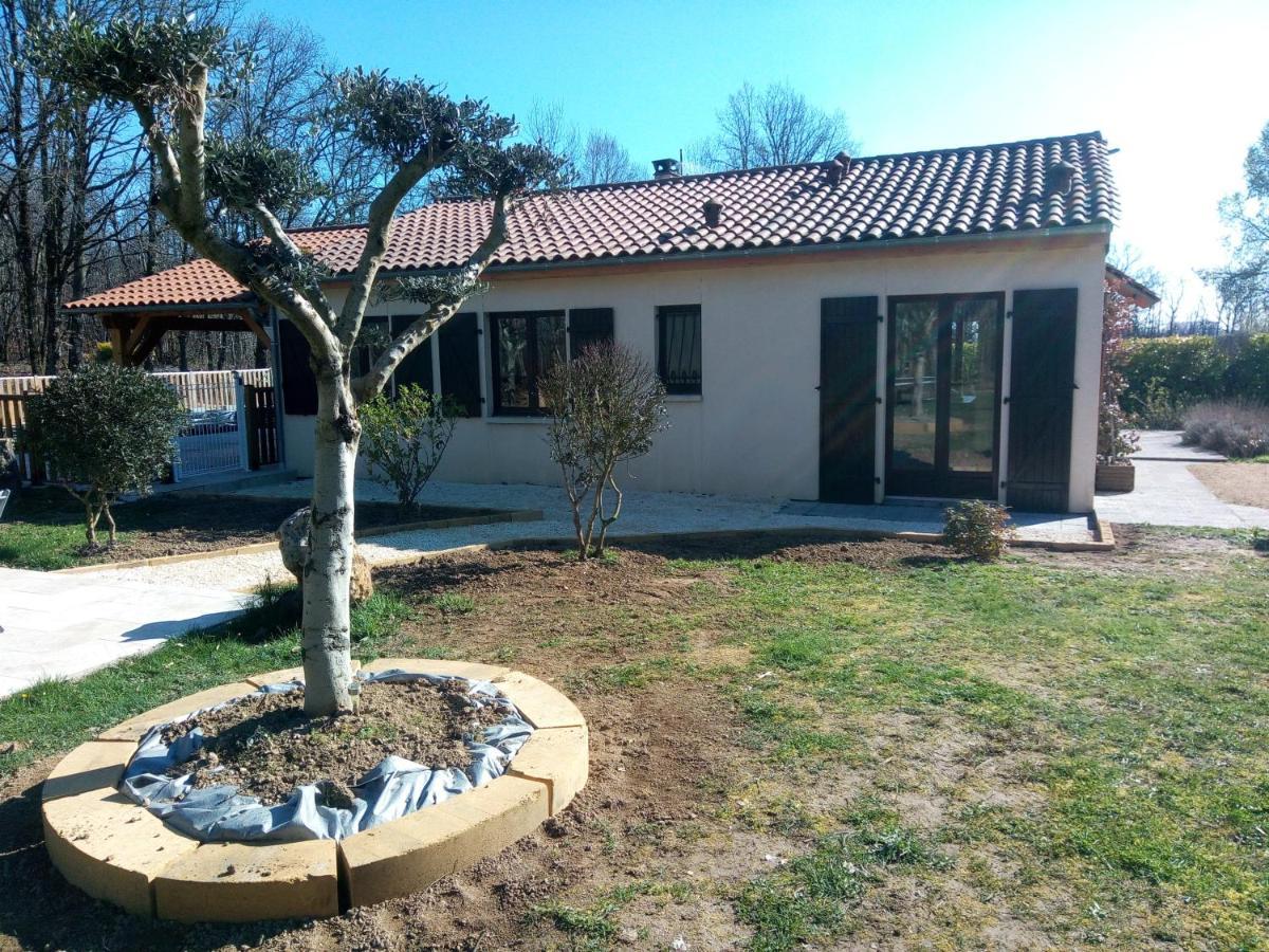 Les Pruniers De La Cipiere Villa Peyzac-le-Moustier Екстериор снимка