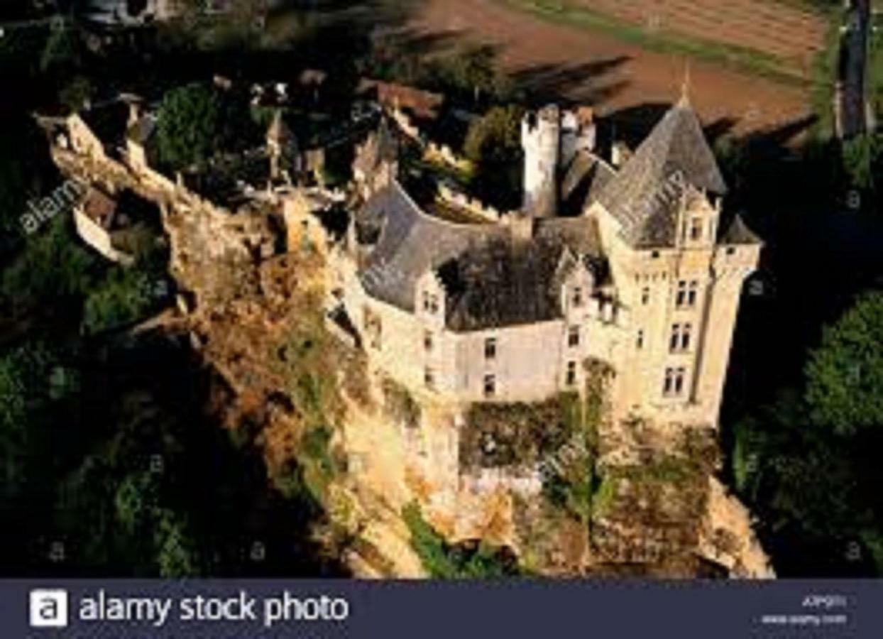 Les Pruniers De La Cipiere Villa Peyzac-le-Moustier Екстериор снимка