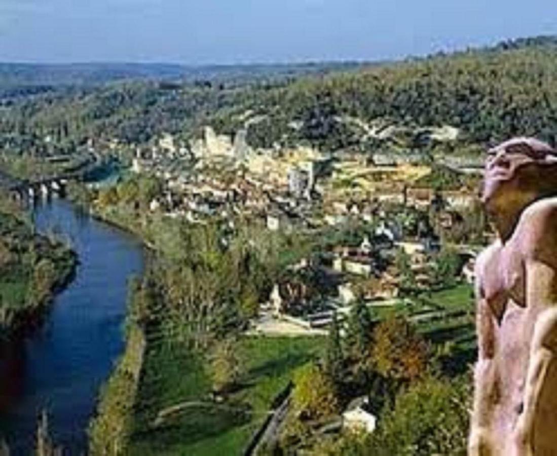 Les Pruniers De La Cipiere Villa Peyzac-le-Moustier Екстериор снимка