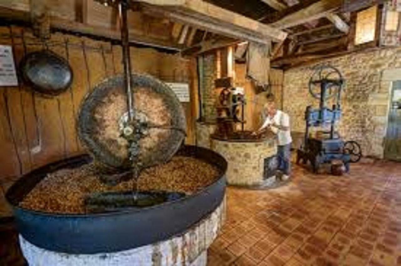 Les Pruniers De La Cipiere Villa Peyzac-le-Moustier Екстериор снимка