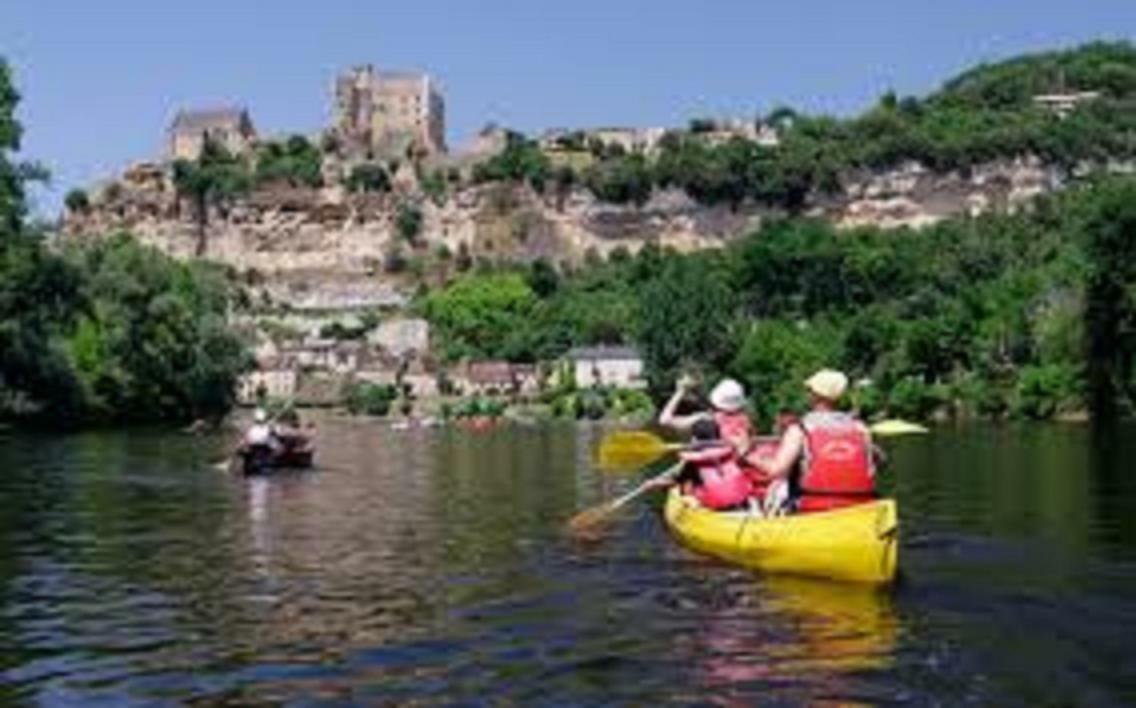 Les Pruniers De La Cipiere Villa Peyzac-le-Moustier Екстериор снимка