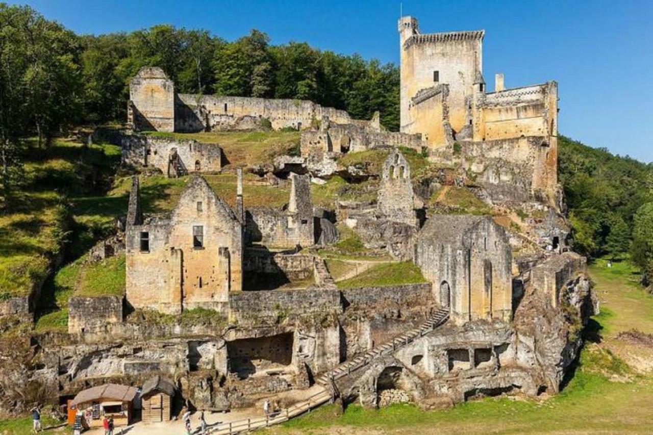 Les Pruniers De La Cipiere Villa Peyzac-le-Moustier Екстериор снимка